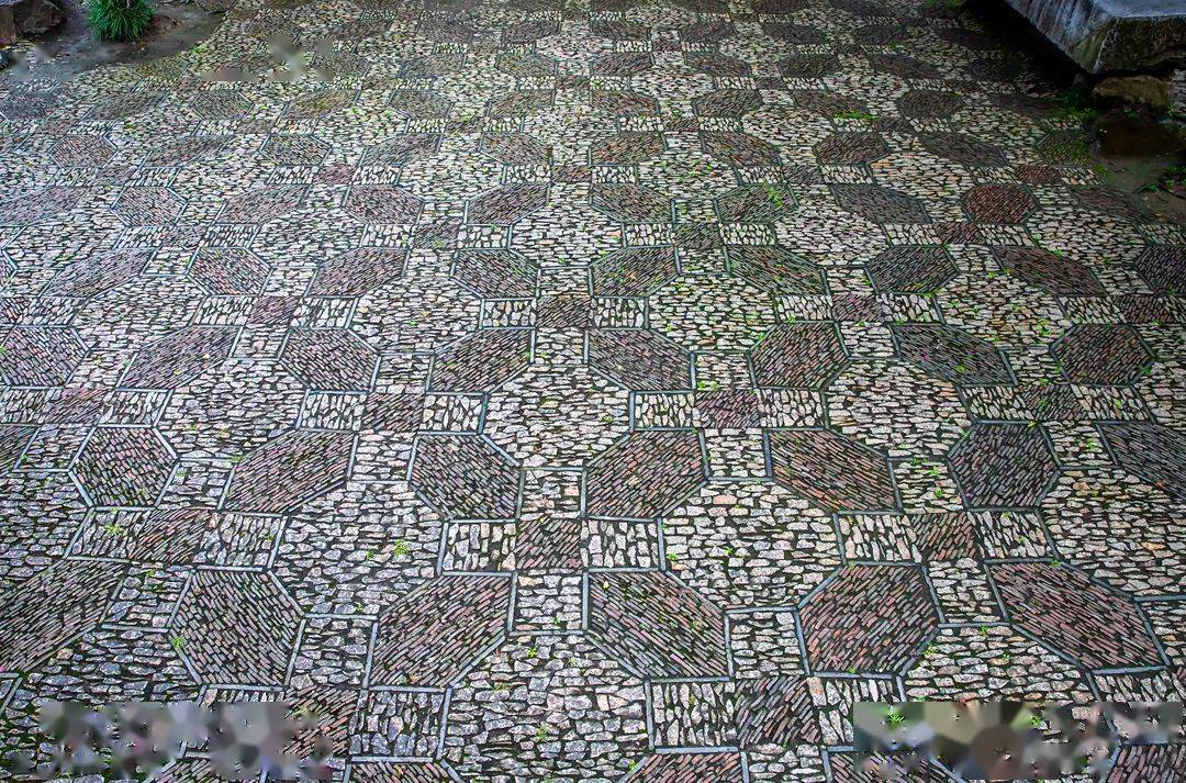 海棠|地上织绣，苏州园林的花街铺地