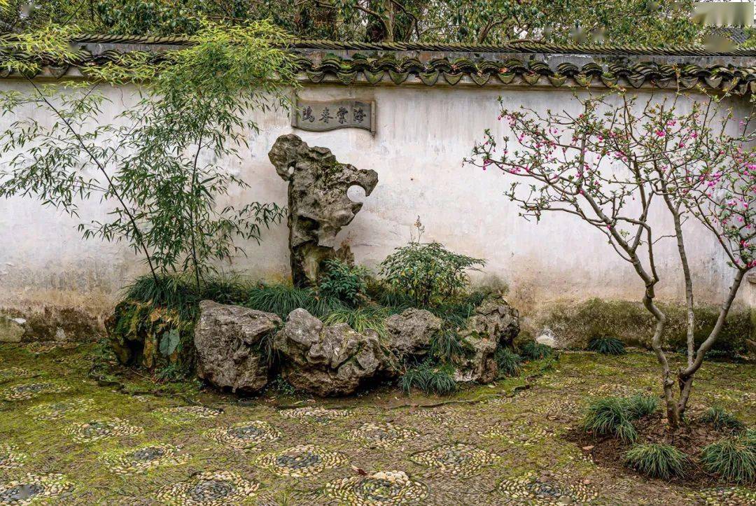 海棠|地上织绣，苏州园林的花街铺地