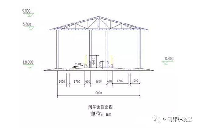 100头养牛场建设图纸图片