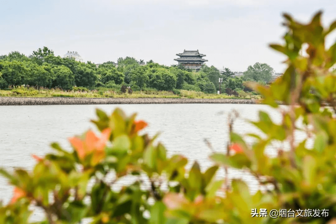 蓬莱|准备好迎接蓬莱的第一抹春色，开启全新旅程吧~