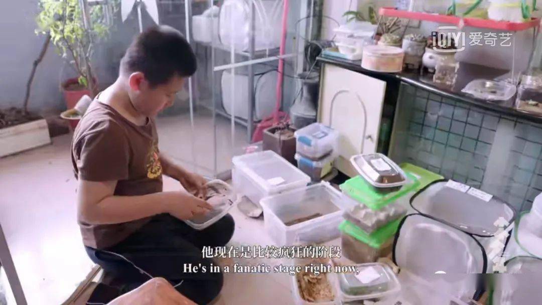 比起谷爱凌的妈妈,这两个普通家庭的选择,更让我感动和尊重_王烁然