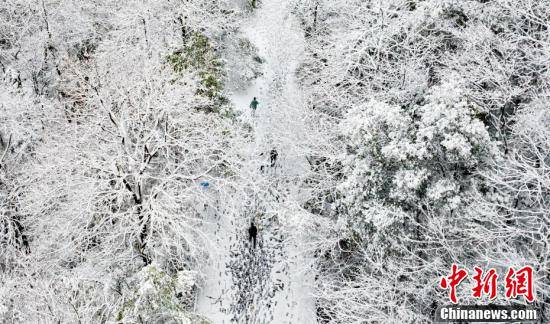 森林|航拍江西新余森林公园雪景如画 宛如“北国风光”