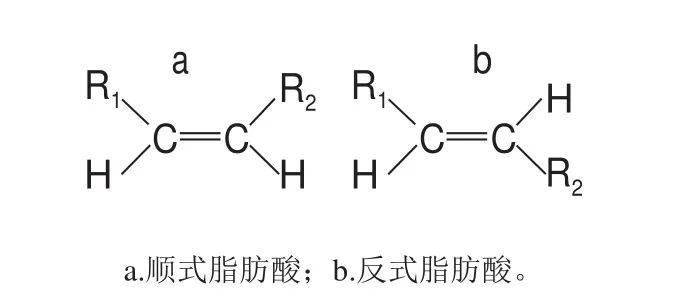 脂肪酸,饱和与不饱和脂肪酸,顺式与反式脂肪酸,一次说清楚