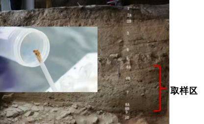 “泥土”里提取DNA，科学家重塑远古时代生命世界