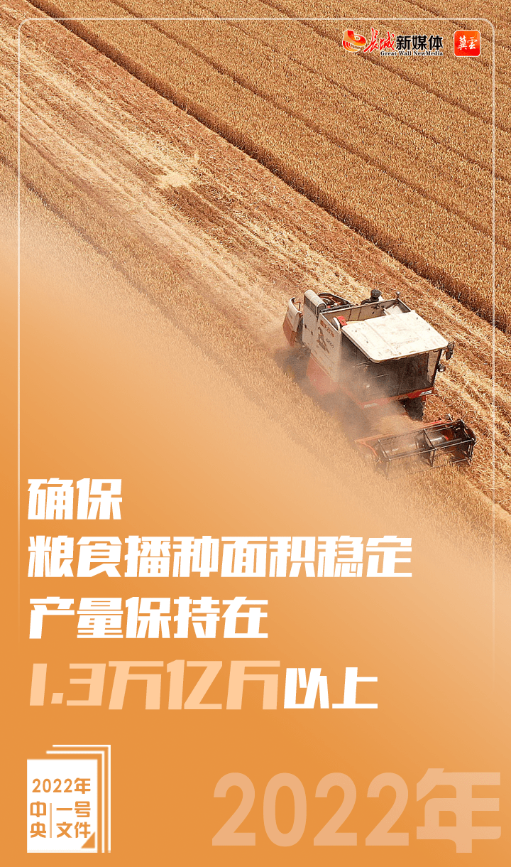 中央一号文件| 2025年我国人均粮食占有量达到508.9公斤