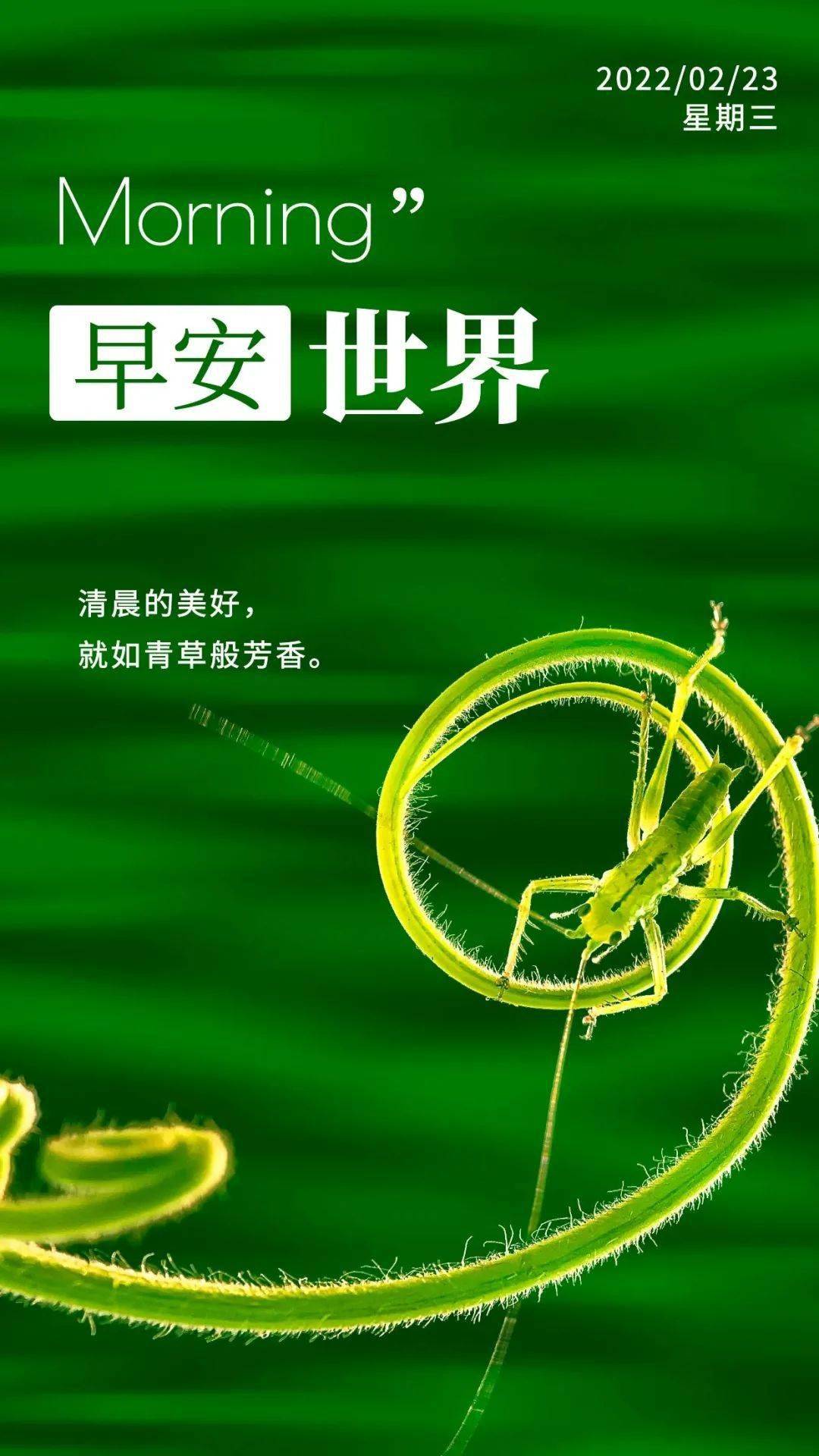 早上好祝福语图片正月廿三