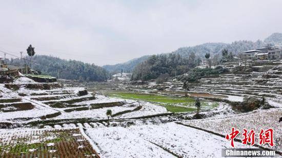 春雪|四川古蔺春日雪景美如画