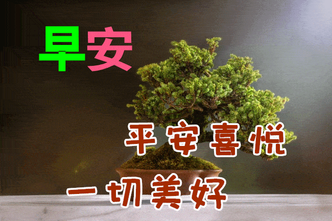 早上好朋友愿你快乐每一天