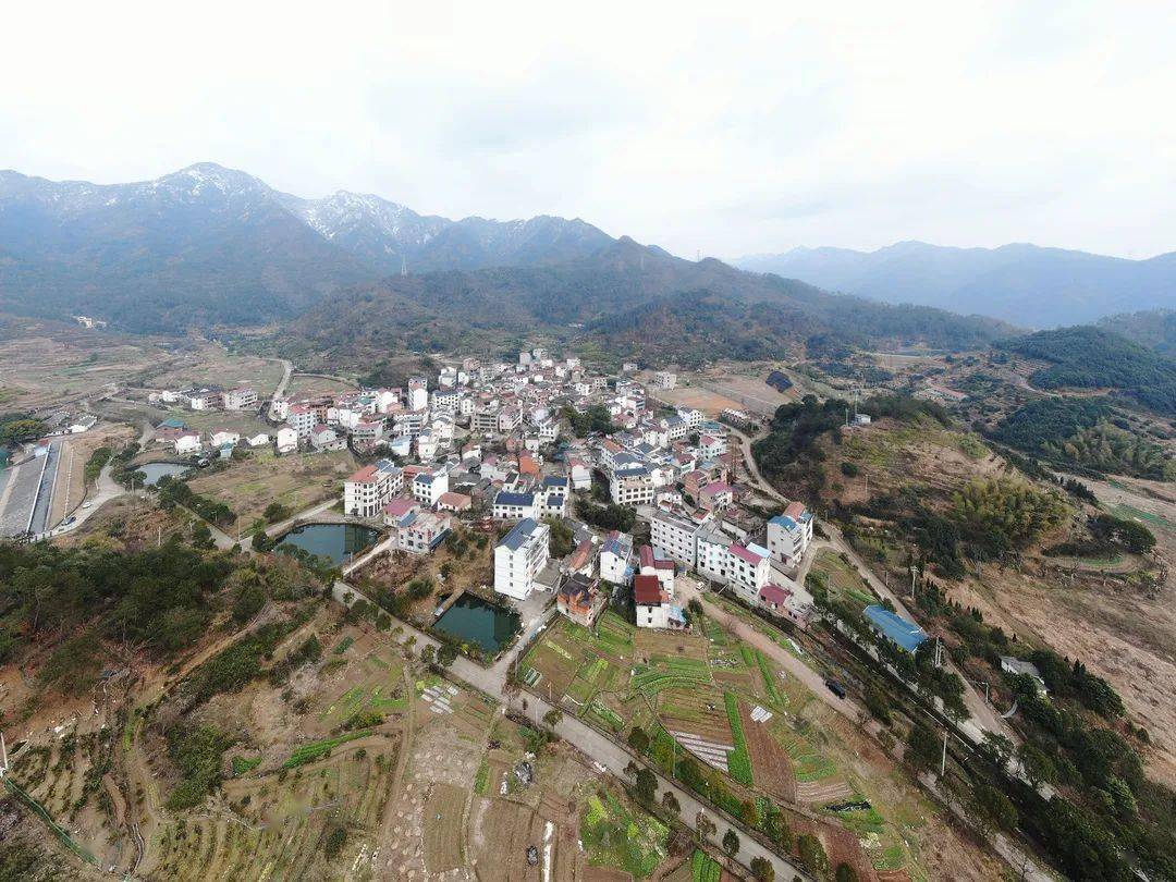 苏溪镇同裕村启动一期更新改造旧房拆除