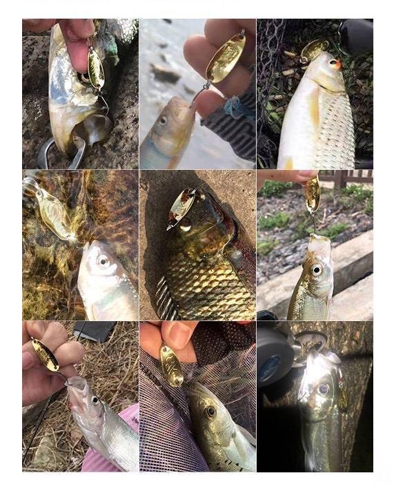 鱼怎么会吃铁片?一起来看看不同的亮片原理