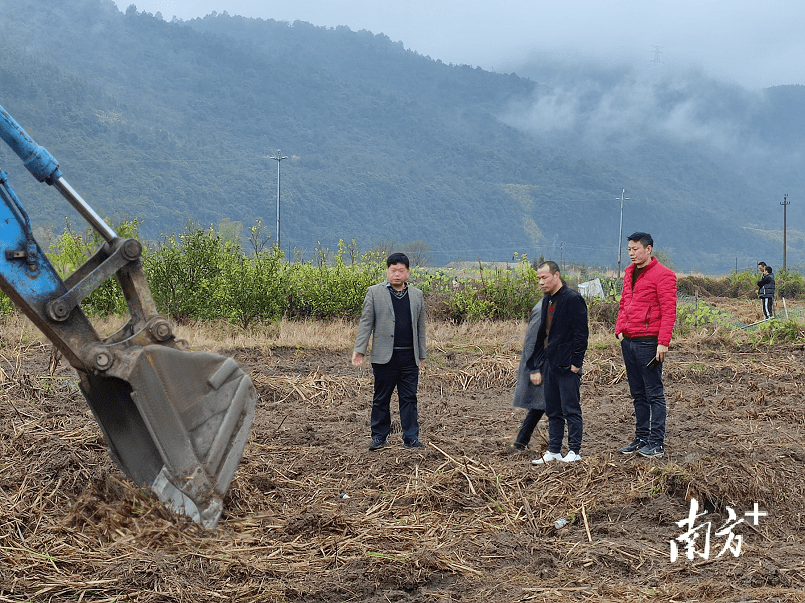乳源东坪镇抢抓农时忙春耕产业发展促振兴