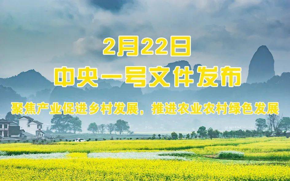 这份文件题为《中共中央 国务院关于做好2022年全面推进乡村振兴重点