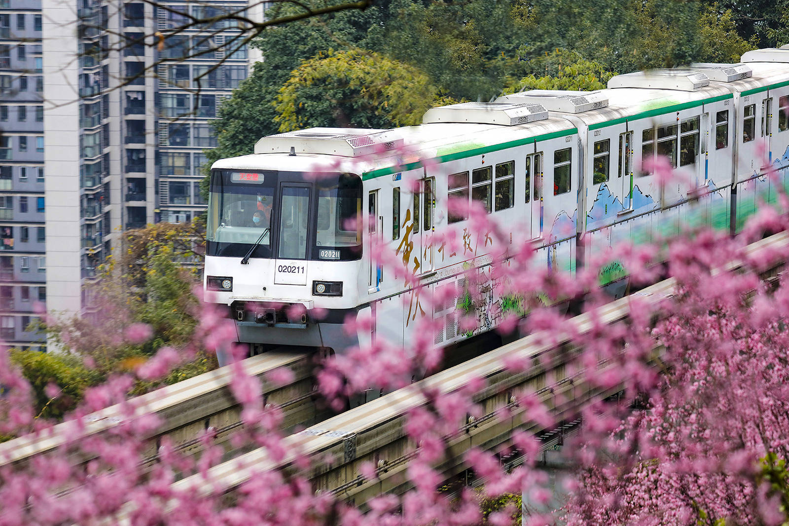 暖阳造访重庆开往春天的列车20版重装上线