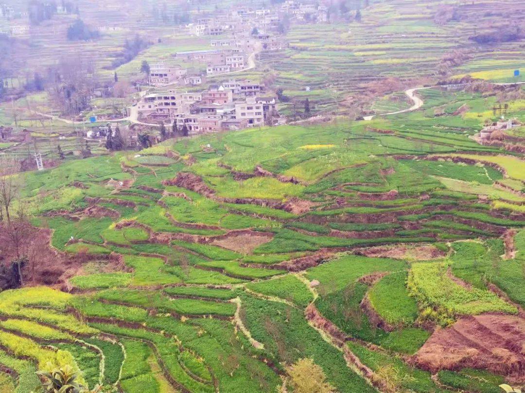 2022年秋种开始,织金县白泥镇积极强化措施,抢农时,抓进度,在去年种植