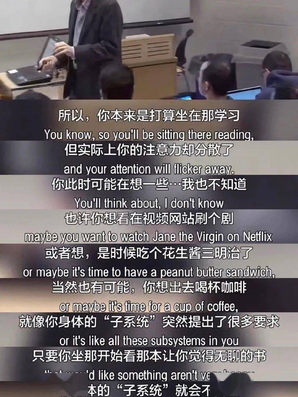 工作|为什么你在工作学习的时候，总是忍不住想要玩手机？