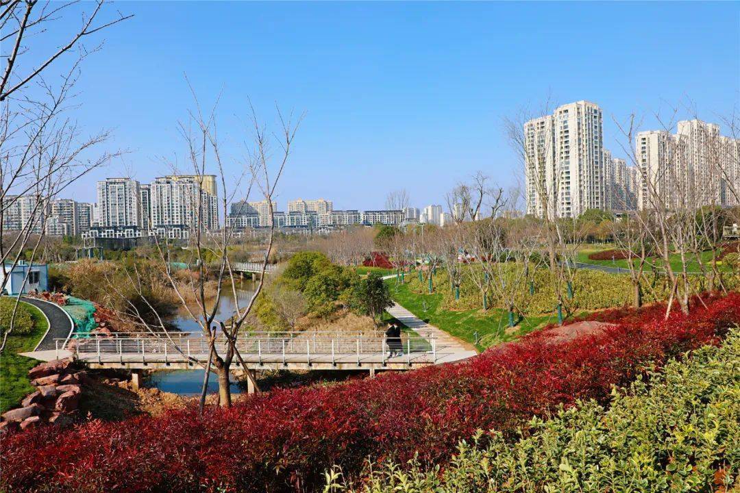 大变样青青草坪悠悠绿道鹿鸣公园邀您周末相约