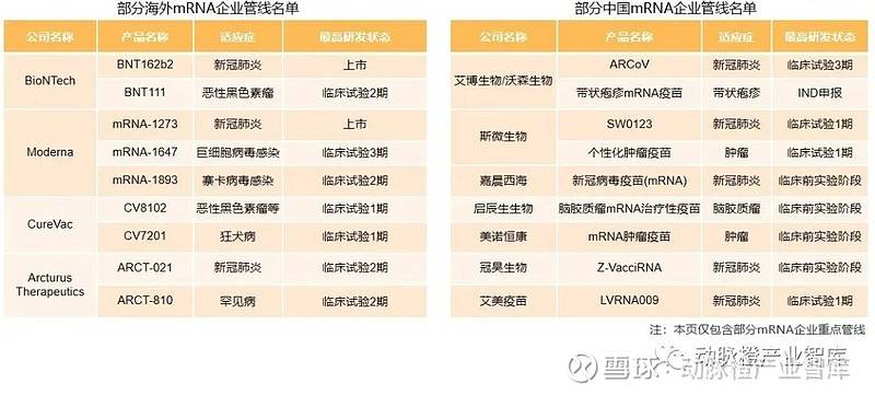 新冠、肿瘤mRNA管线占比过半,环状RNA成临床潜力股