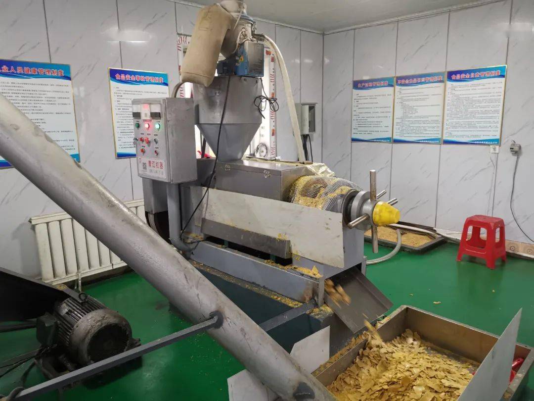 安图小油坊榨出飘香好日子