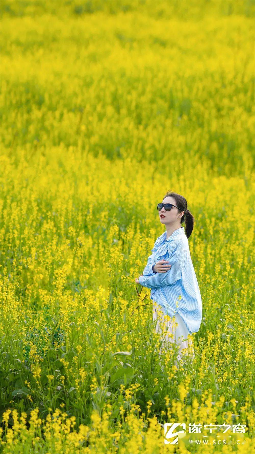 遂宁高新区首届菜花游园节周末开园5000亩菜花花海等你来打卡