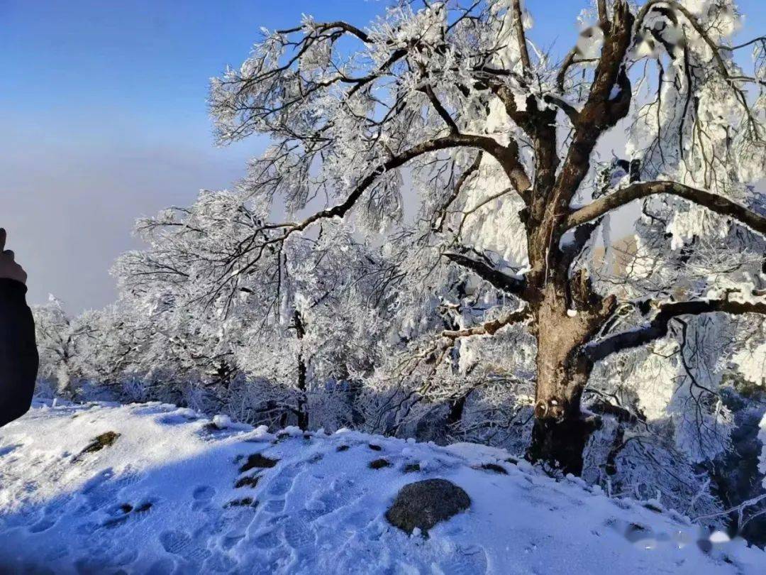 央媒報道桂林雪景驚豔全國