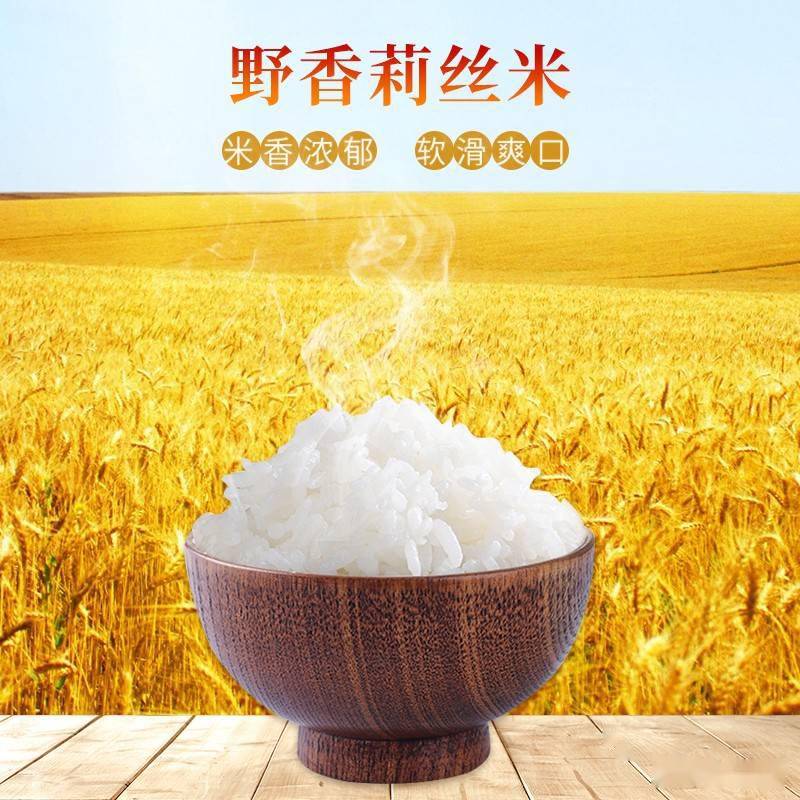野香优海丝水稻品种图片