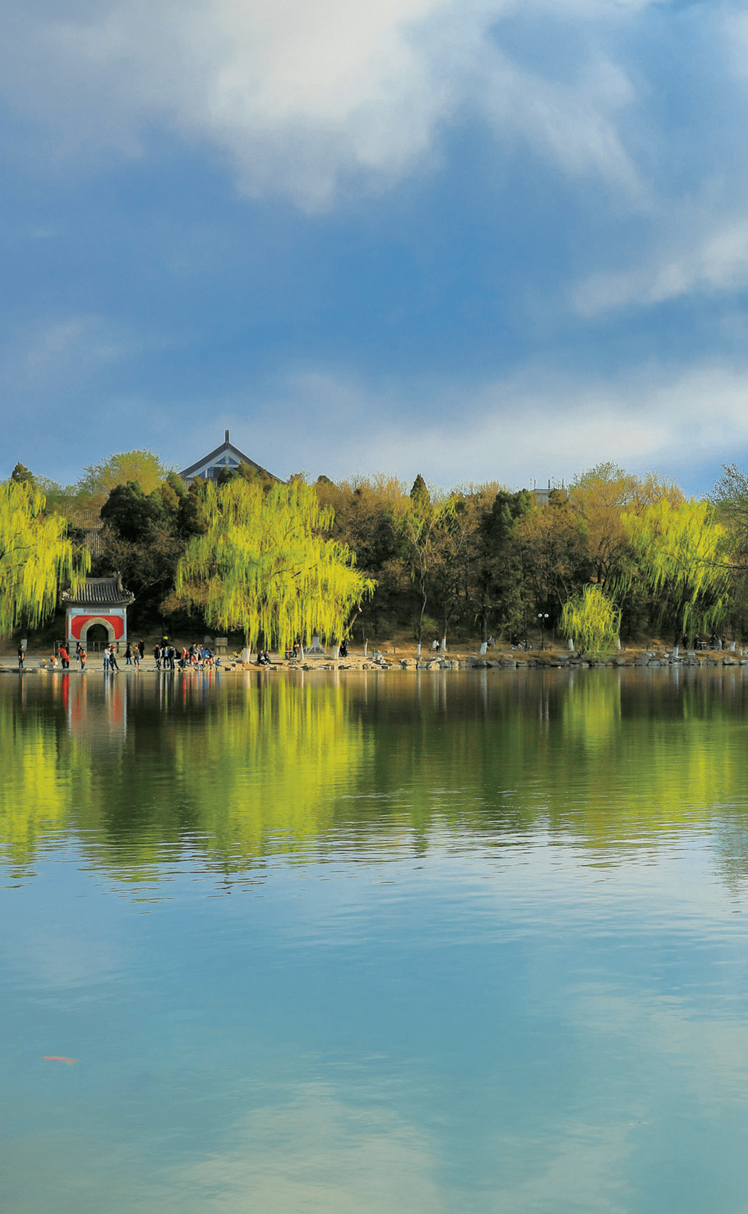 今日宜游园丨未名湖是个海洋