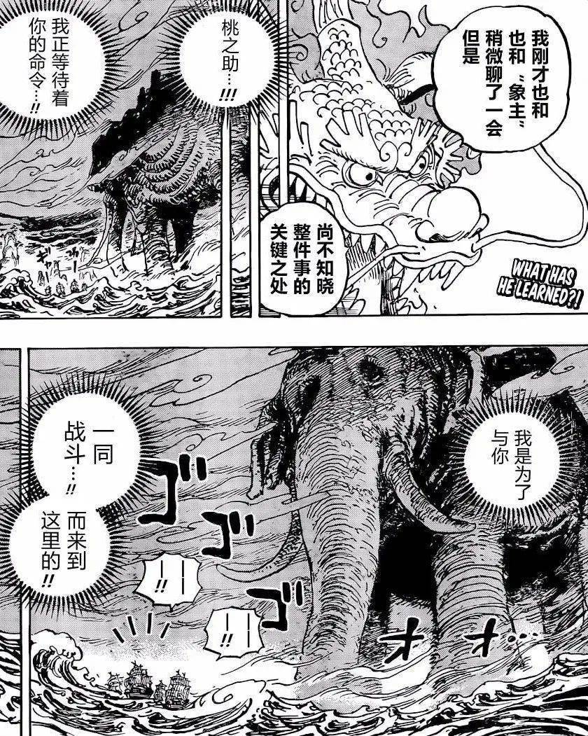 海贼王|海贼王·1041话·汉化版·高清