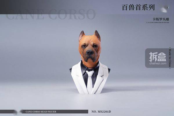 售价MOSTOYS 百兽首头雕 1/6卡斯罗犬头雕可动 兵人配件