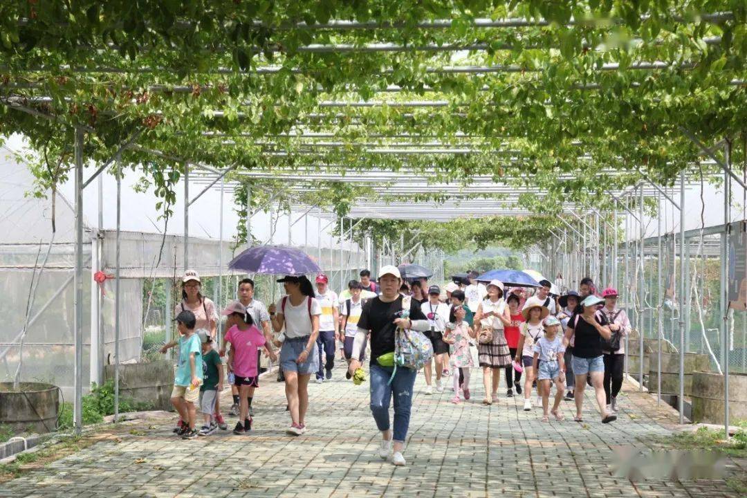 东莞企石我的农场继续保留省级休闲农业与乡村旅游示范点称号