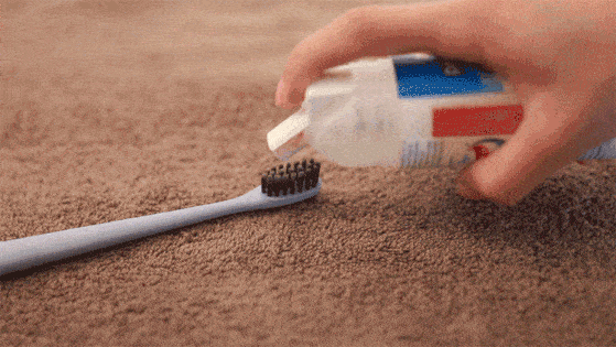 物理【物理原理】非牛顿流体 | 三色牙膏颜色为什么不会混?