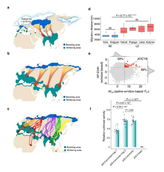 年度|2021年度中国科学十大进展发布