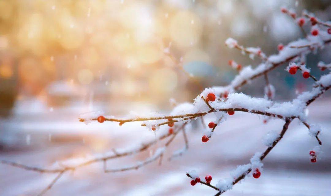 雪花|冬残奥会开幕在即，在古诗词里，一起寻找“雪容融”吧