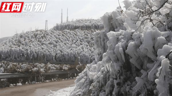 游客|江永：“冰雪”铜山岭吸引众多游客“打卡”