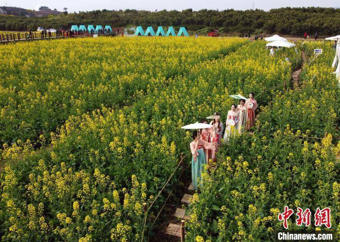 踏青|成都金堂万亩油菜花海盛开 游客踏青出游