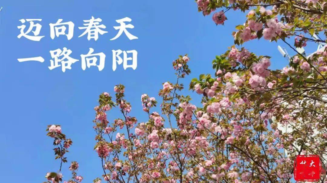 三月送你三月的风祝你春风得意