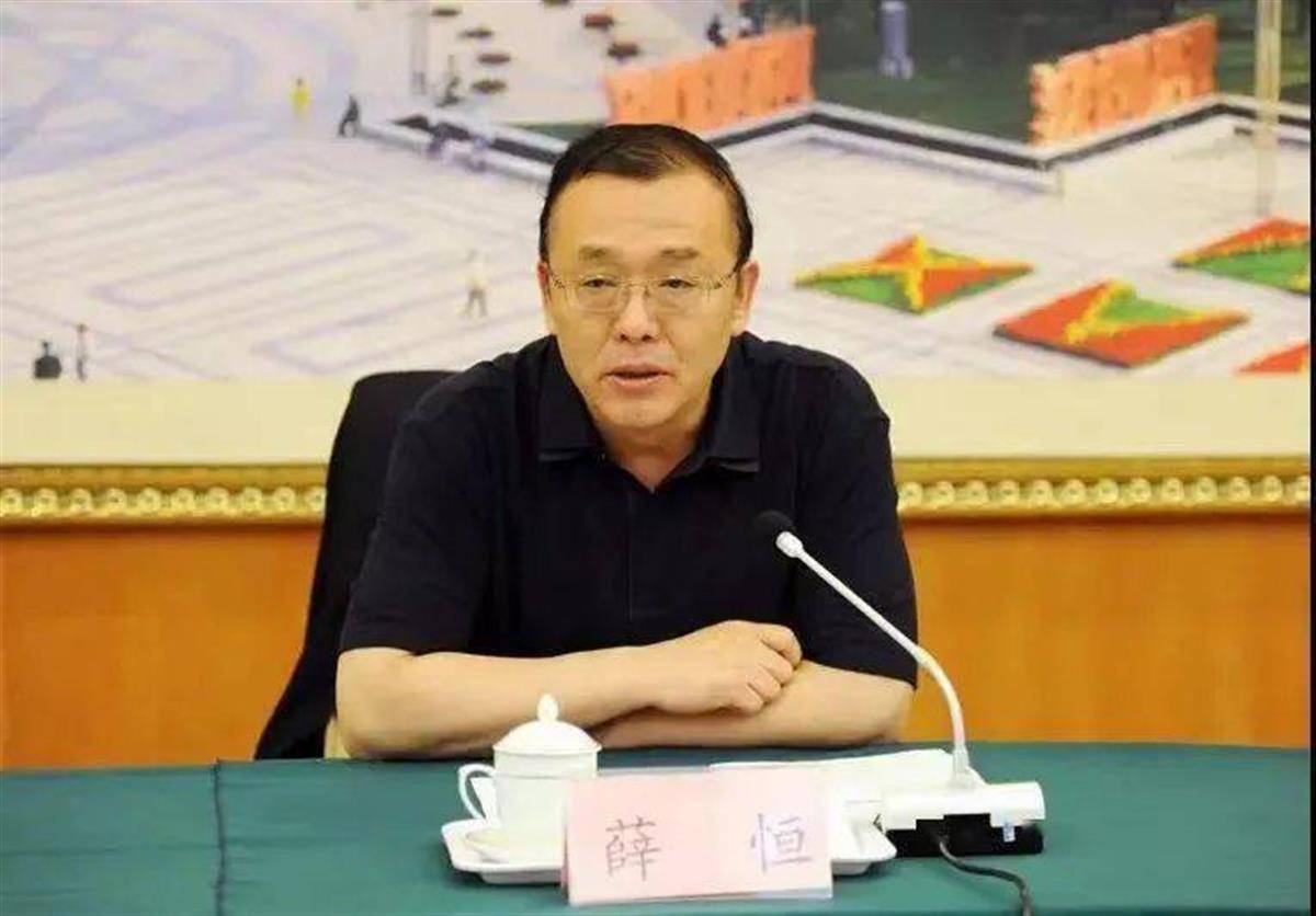 辽宁省副省长、省公安厅厅长王大伟被查_搜狐网