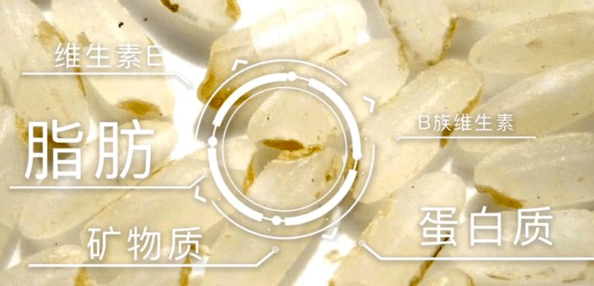 130590ec522d4a758b434fad0b26cc04.png
