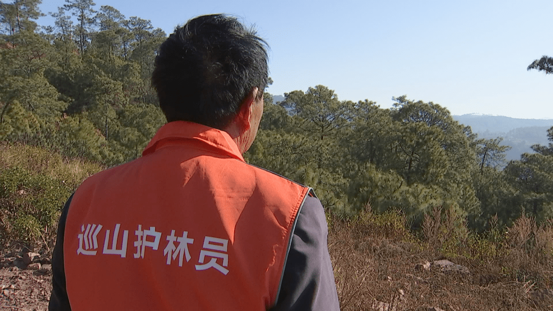 五化同频铸护林铁军西昌市3800余名防火工作者持证上岗