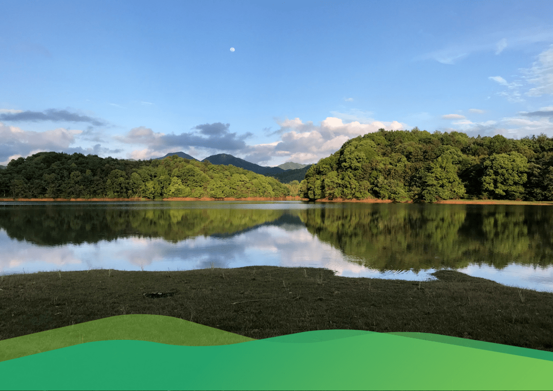 景德镇玉田湖旅游区发展总体规划暨国家森林康养基地专项规划项目考察