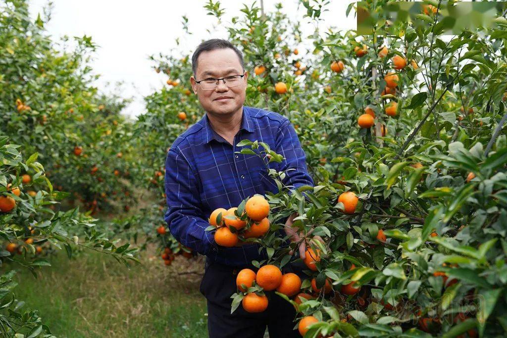 陈仲南是桂平市农业农村局植保植检站站长,作为十三届全国人大代表赴