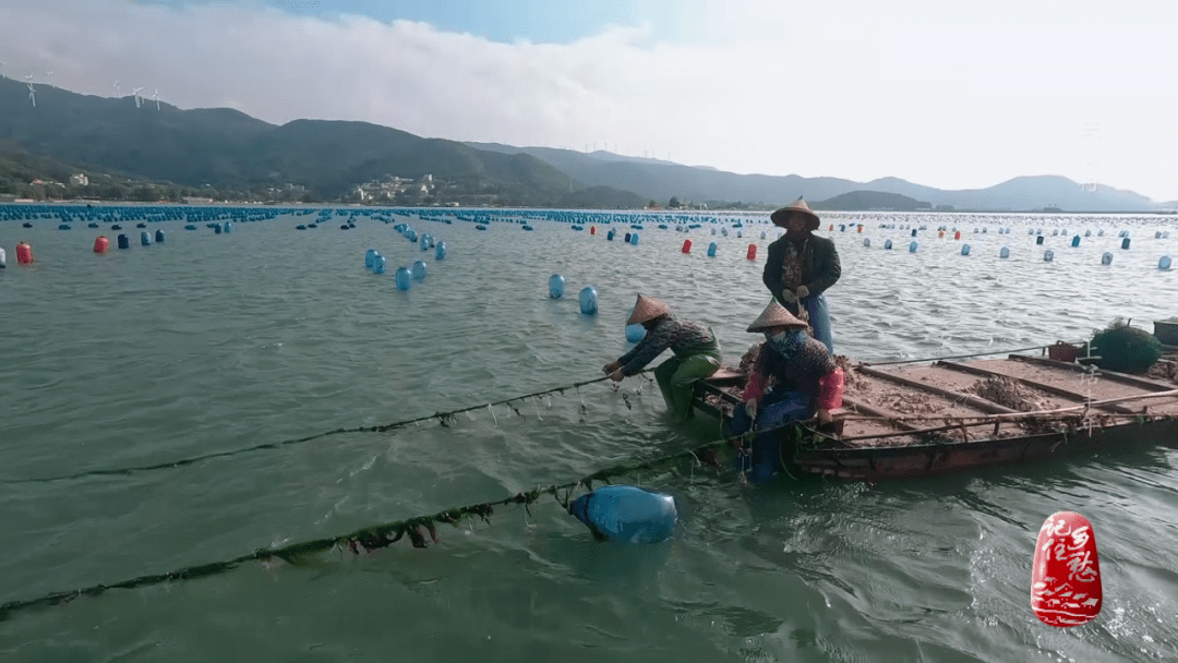 三澳村|今晚去看海啊！广东三澳村“彩虹海”等你来打卡！