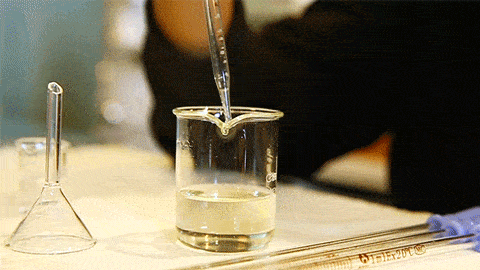 十二星座专属香水白羊座的充满朝气双鱼座的浪漫清新你的会是什么味道