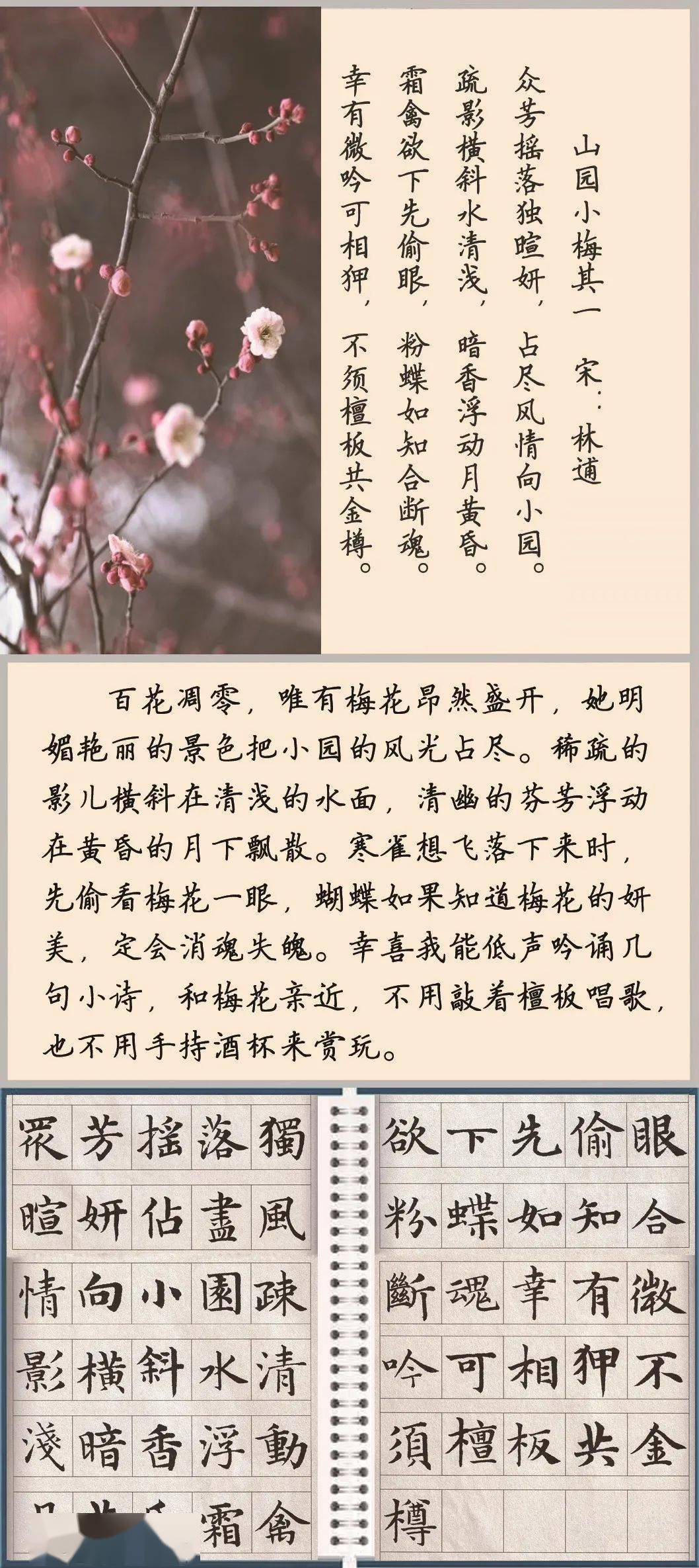 【每日一诗】山园小梅·其一 林逋(1517)