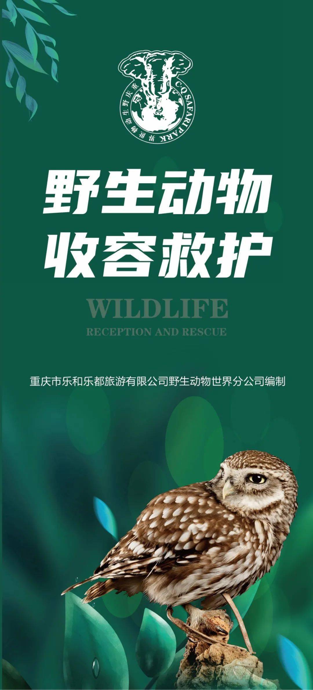 让我们一起更好的了解怎么关爱动物野生动物收容救护宣讲在大象广场