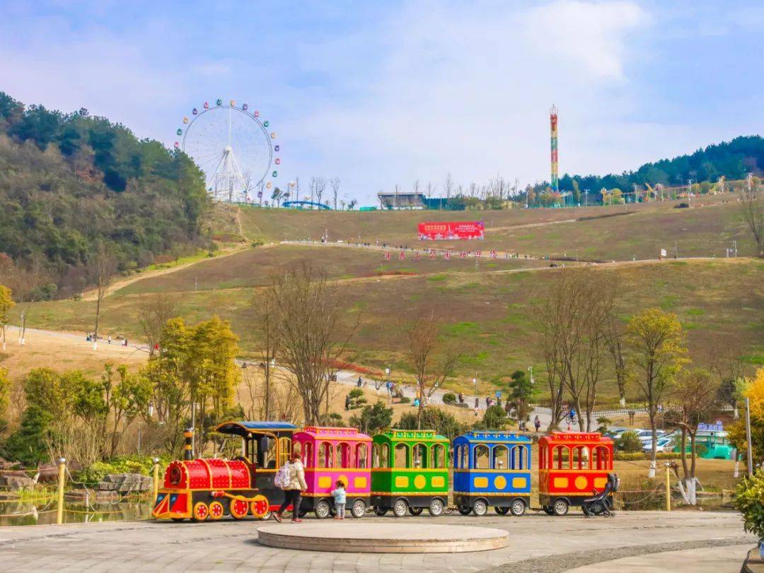 要说遵义最近较火的打卡地,非汇川区莲花山公园莫属,因为今年的莲花山