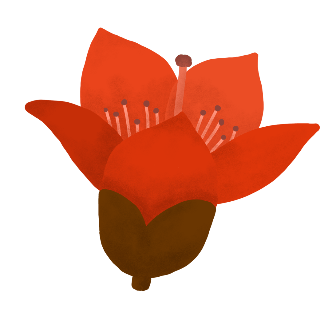 攀枝花火红57载