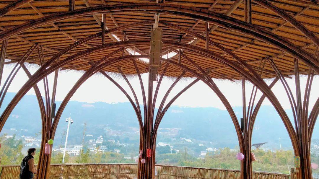 05发展中的竹村高桥竹村还有几家各有特色的农家乐