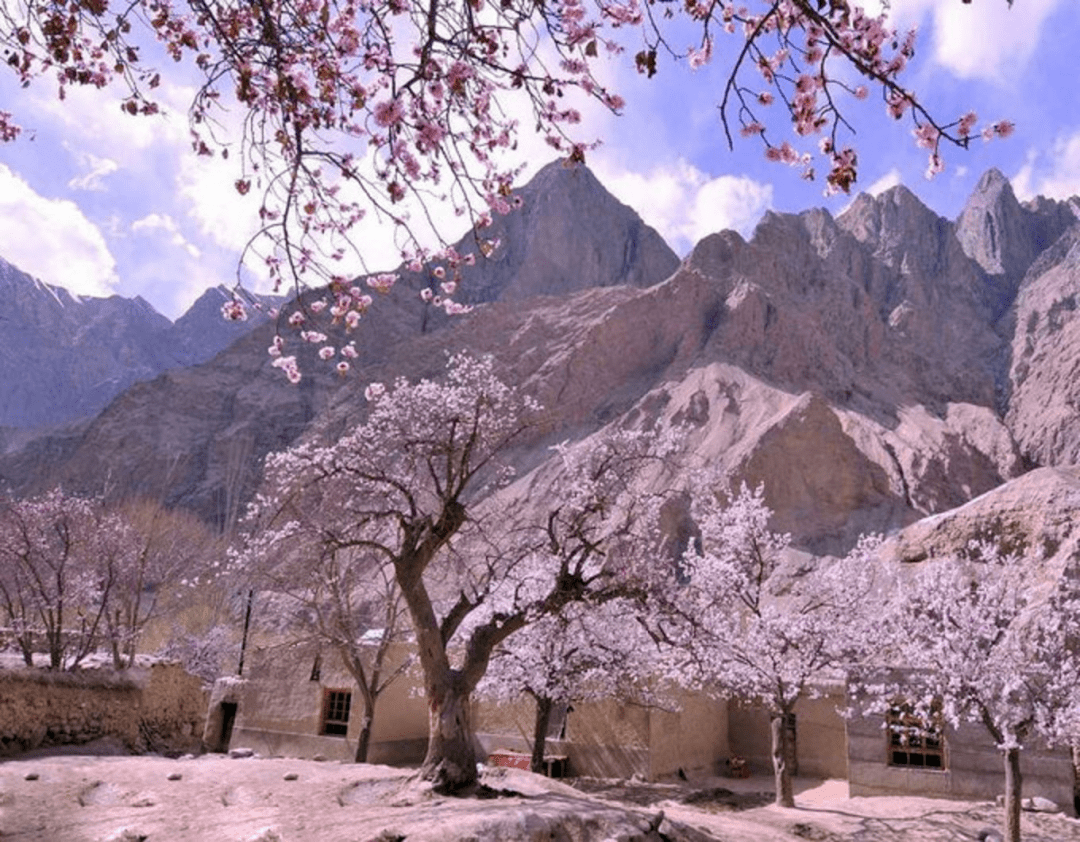 2022绝色新疆南疆杏花6日喀什古城杏花村塔莎古道盘龙古道班迪尔湖