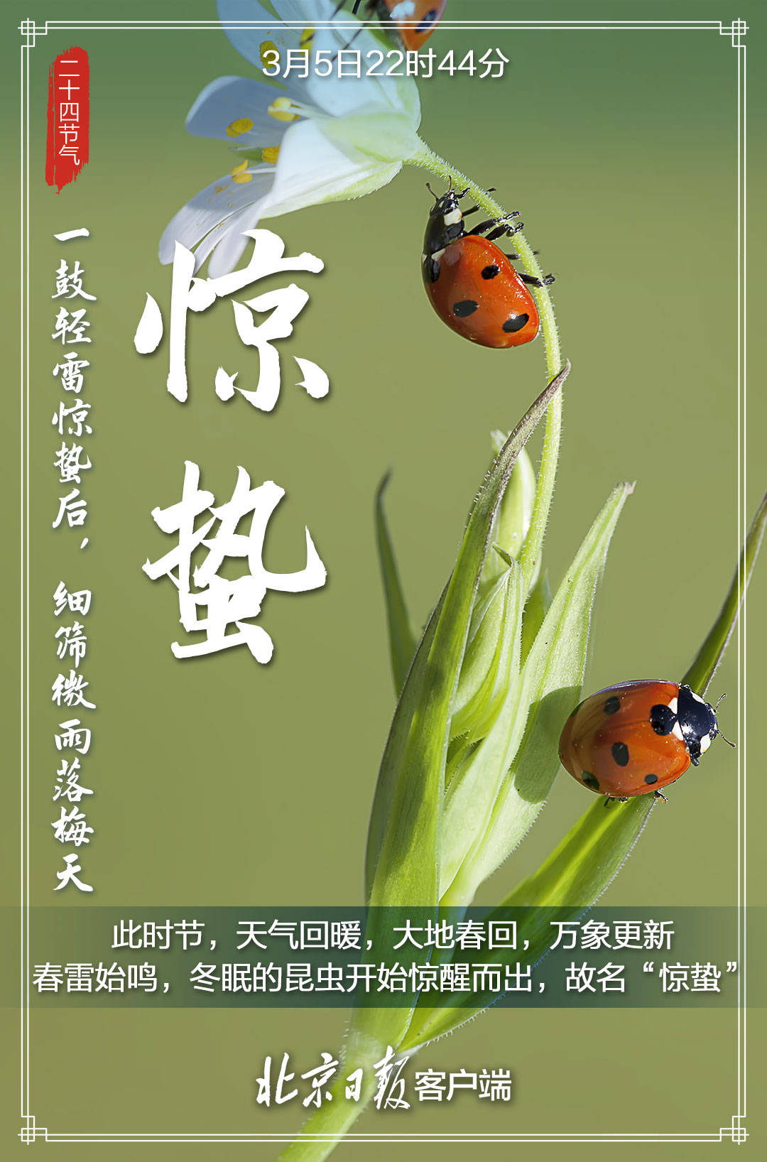 今日惊蛰 春雷惊百虫 真的是春雷叫醒了百虫吗 雷声 时节 严圣淼