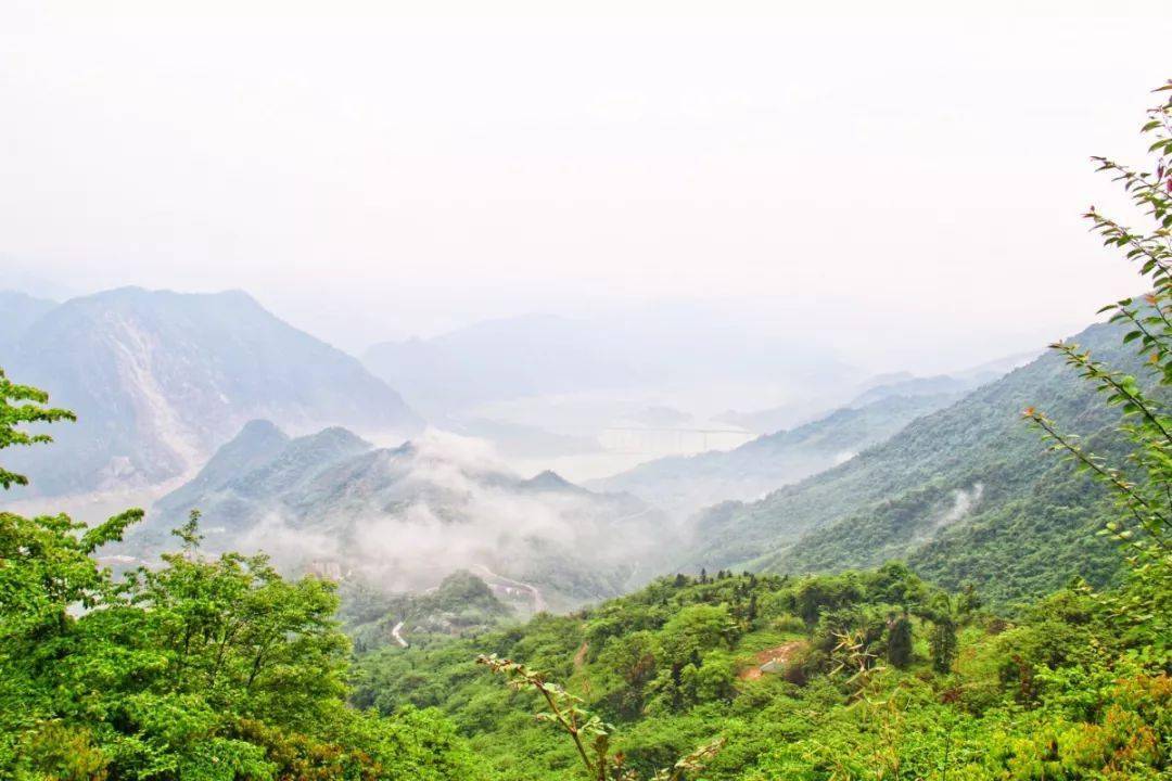 都江堰|赏避世桃源、游森林古道......都江堰这5处踏青小众秘境，带你开启一场治愈之旅~